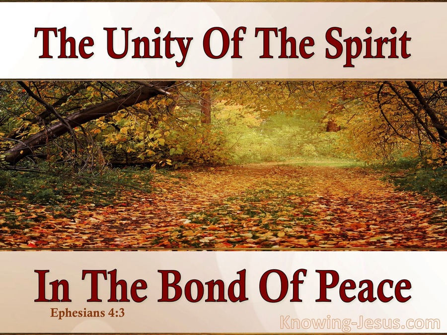 Ephesians 4:3 The Unity Of The Spirit (pink)